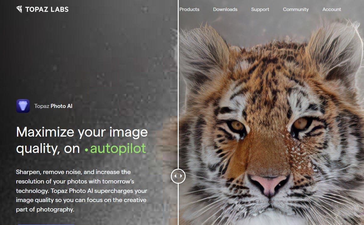 Topaz Labs